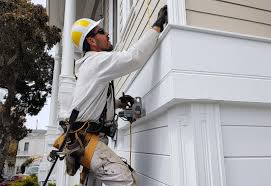 Best Residential Vinyl Siding Installation  in Newark, IL